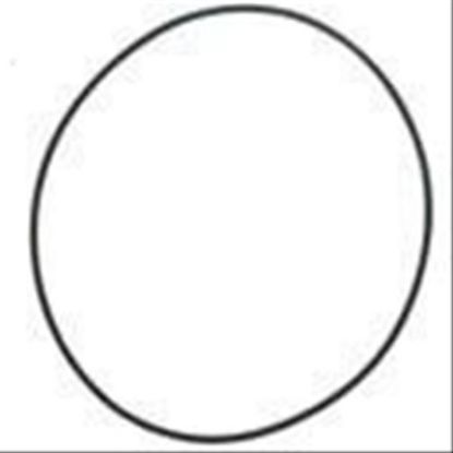 Immagine di O RING - RETAINER