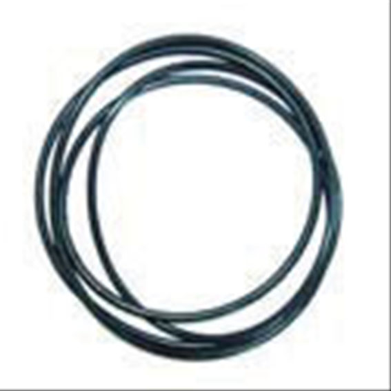 Immagine di O RING- AXLE PLATE