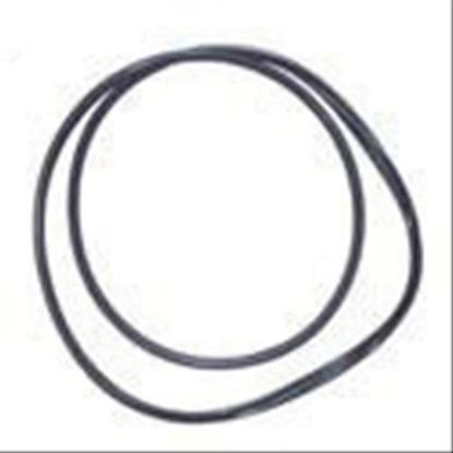 Immagine di O RING- AXLE PLATE