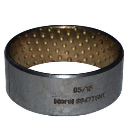 Immagine di BUSH - DIFFERENTIAL COVER