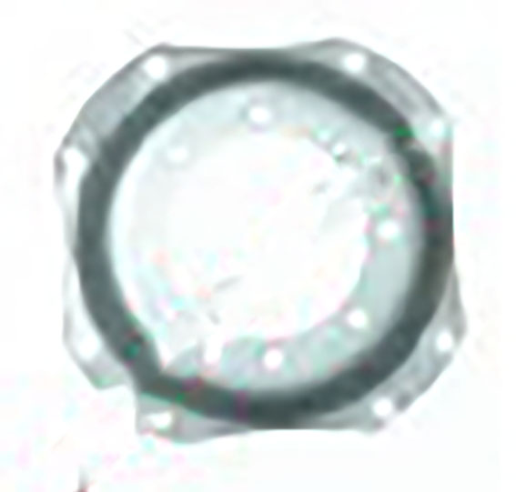 Immagine di FRONT WHEEL DISK 4X4 10X24 8 HOLE