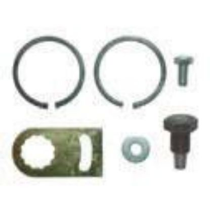 Immagine di RING- FRONT PIN SET