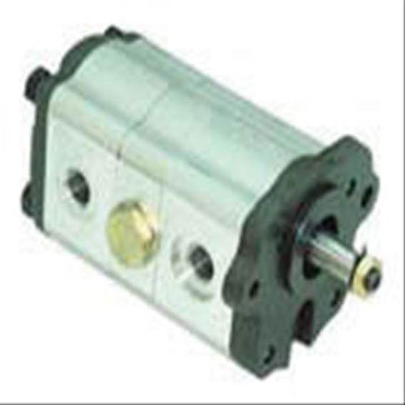 Immagine di P/S TANDEM PUMP