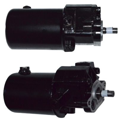 Immagine di P/S STEERING PUMP ASSY-LESS GEAR