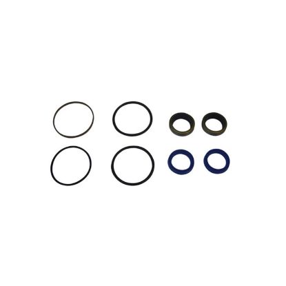 Immagine di SEAL KIT - STEERING RAM