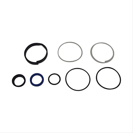 Immagine di P/S CYL.O  RING REPAIR KIT