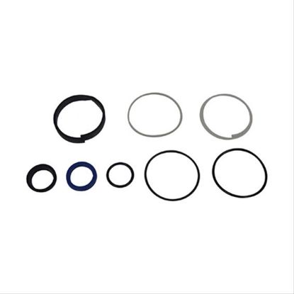 Immagine di P/S CYL.O  RING REPAIR KIT