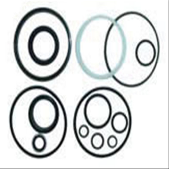 Immagine di P/S CYL.O  RING REPAIR KIT