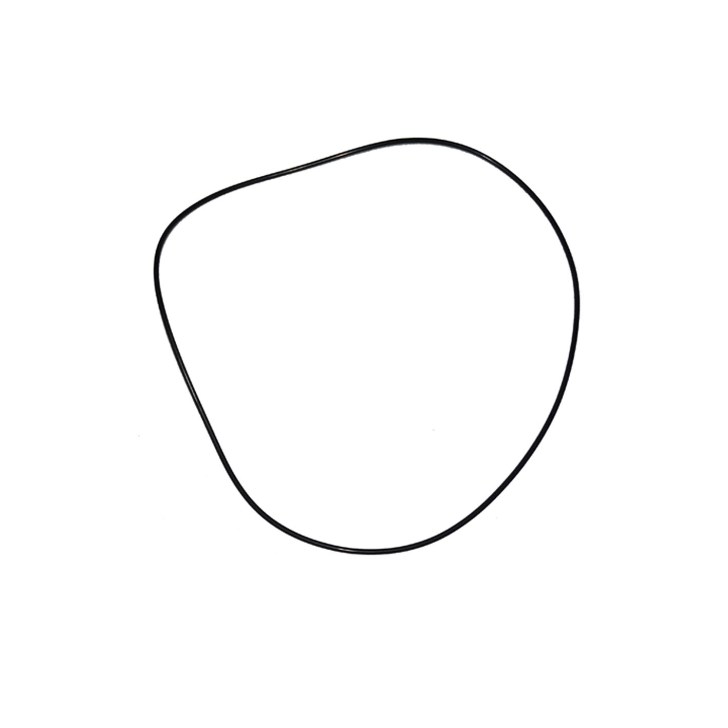 Immagine di ORING KIT