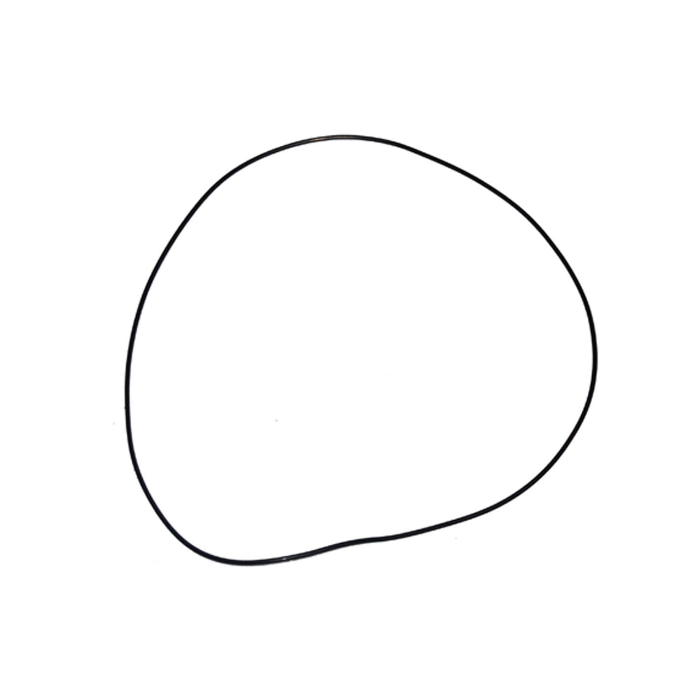 Immagine di ORING KIT