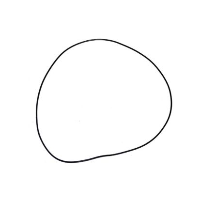 Immagine di ORING KIT