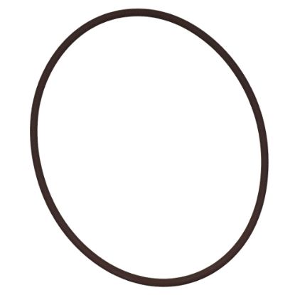 Immagine di PTO PISTON LASTIC RING MEDIUM (BOTTOM)