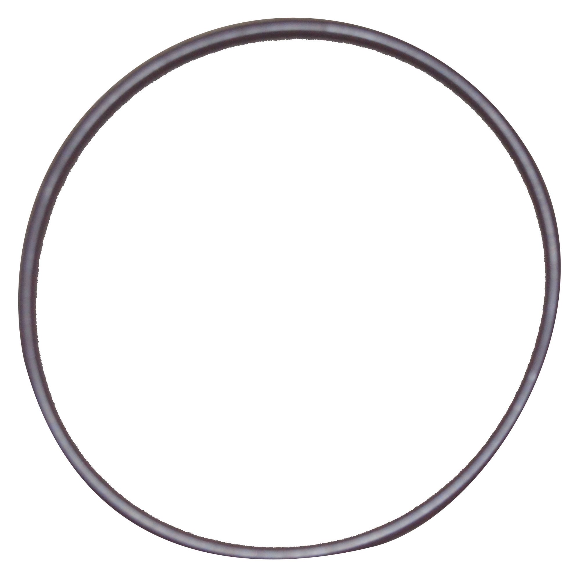 Immagine di PTO PISTON LASTIC RING BIG (BOTTOM)