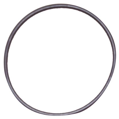 Immagine di PTO PISTON LASTIC RING BIG (BOTTOM)