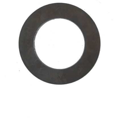 Immagine di DISK SPRING