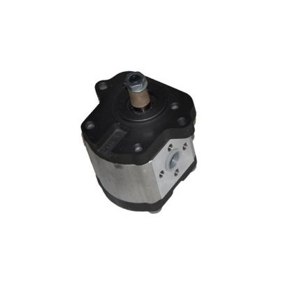 Immagine di HYDRAULIC PUMP