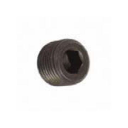 Immagine di HYDRAULIC PLUG
