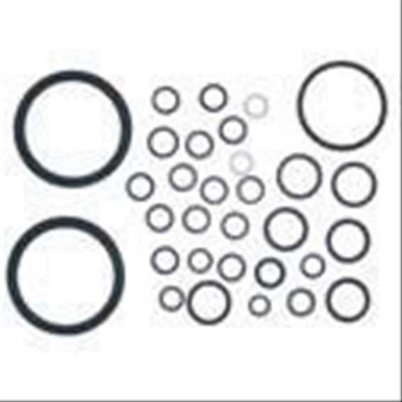 Immagine di HID O RING KIT MK.