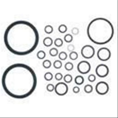 Immagine di HID O RING KIT MK.