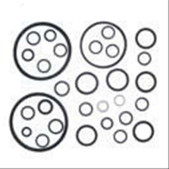 Immagine di HID O RING KIT MK.1