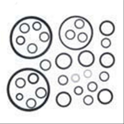 Immagine di HID O RING KIT MK.1