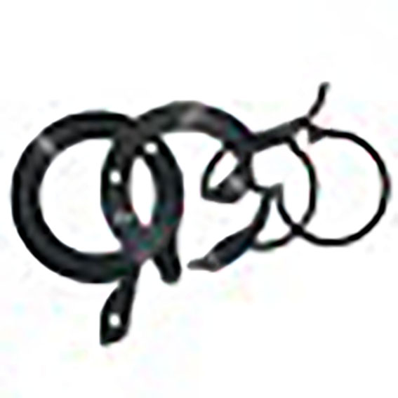 Immagine di O RING & FIBRE KIT - LIFT SHAF