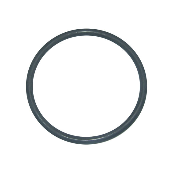 Immagine di ORING - HYD PISTON