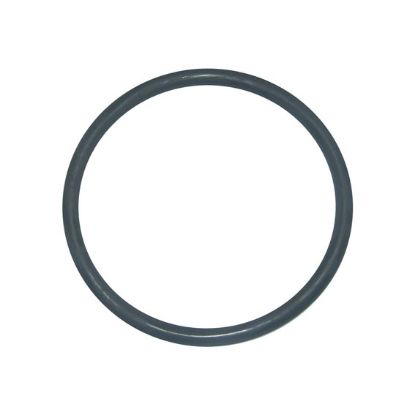 Immagine di ORING - HYD PISTON