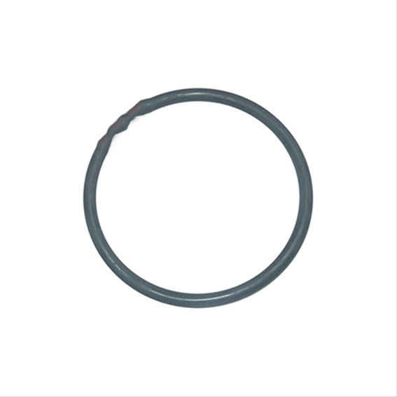 Immagine di O- RING - HYD PISTON