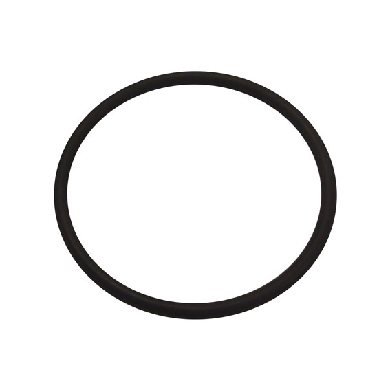 Immagine di ORING - HYD PISTON