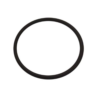 Immagine di ORING - HYD PISTON