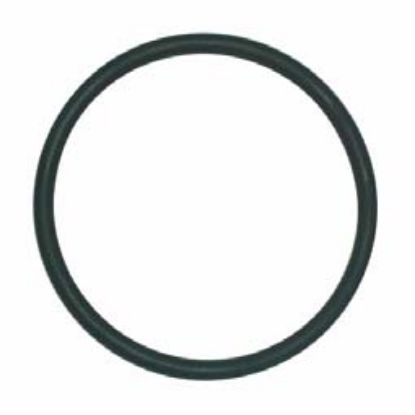 Immagine di ORING - HYD PISTON