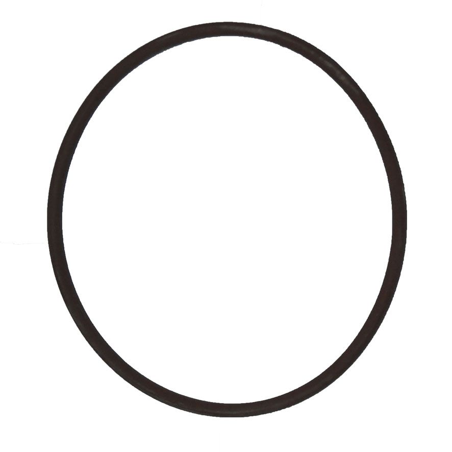 Immagine di ORING - HYD PISTON