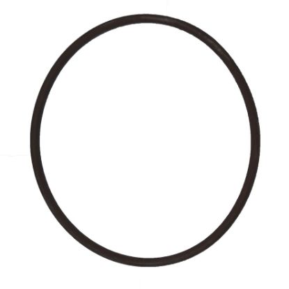 Immagine di ORING - HYD PISTON