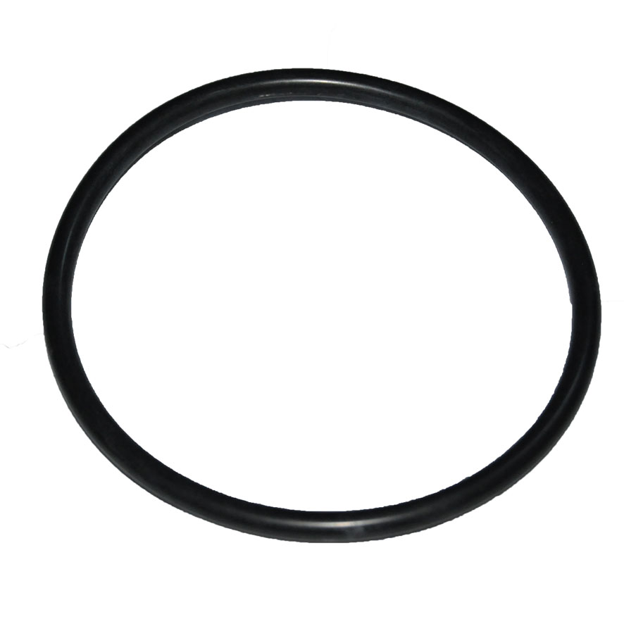 Immagine di ORING - HYD PISTON