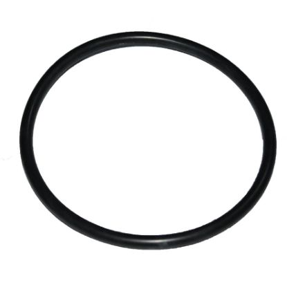 Immagine di ORING - HYD PISTON