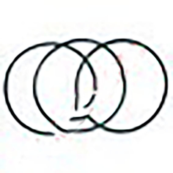 Immagine di O RING - HID QUADRANT SUPPORT