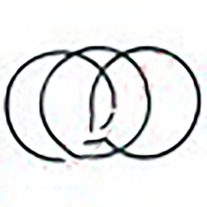 Immagine di O RING - HID QUADRANT SUPPORT