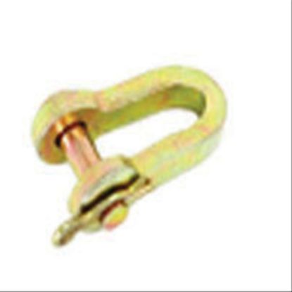 Immagine di SHACKLE-CHECK