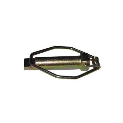 Immagine di LYNCH PIN