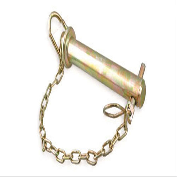 Immagine di TRAILER PIN W/CHAIN W/SPRING AØ: 19 MM