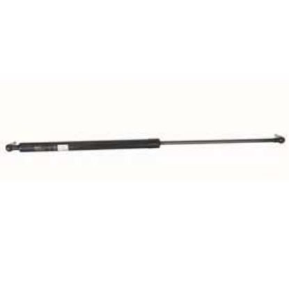 Immagine di LIFTLINE GAS SPRING