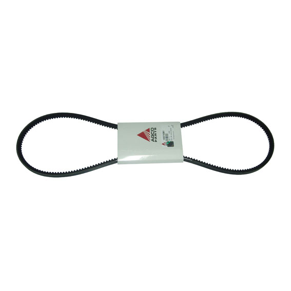Immagine di V BELT