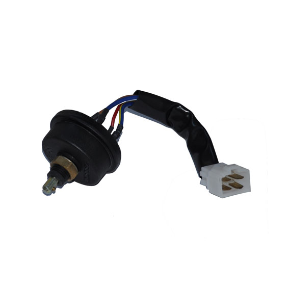 Immagine di HORN SWITCH