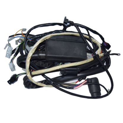 Immagine di WIRING HARNESS