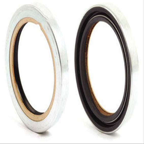 Immagine di OIL SEAL