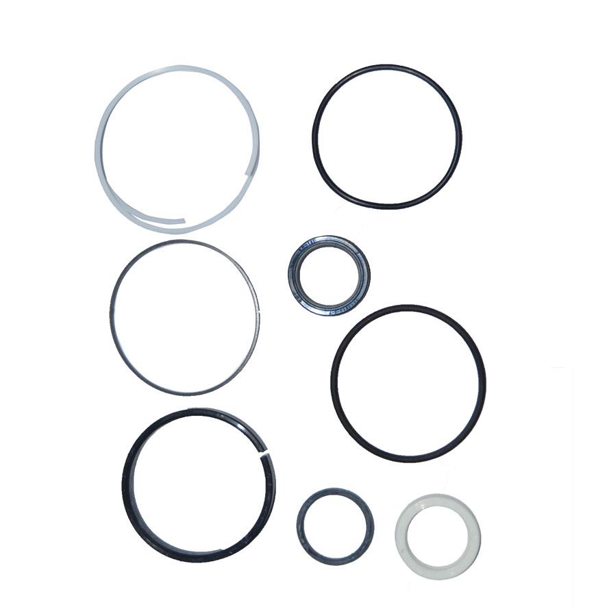 Immagine di CYLINDER SEAL KIT