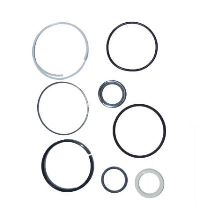 Immagine di CYLINDER SEAL KIT