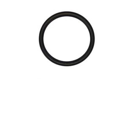 Immagine di SEAL-CRANK REAR IN VITON