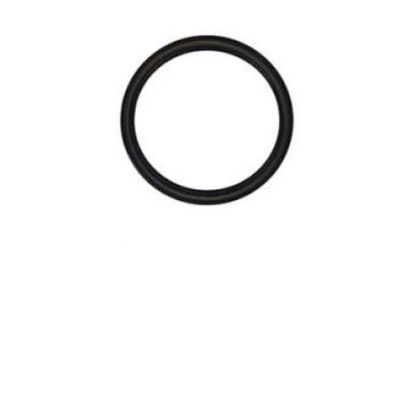 Immagine di SEAL-CRANK REAR IN VITON